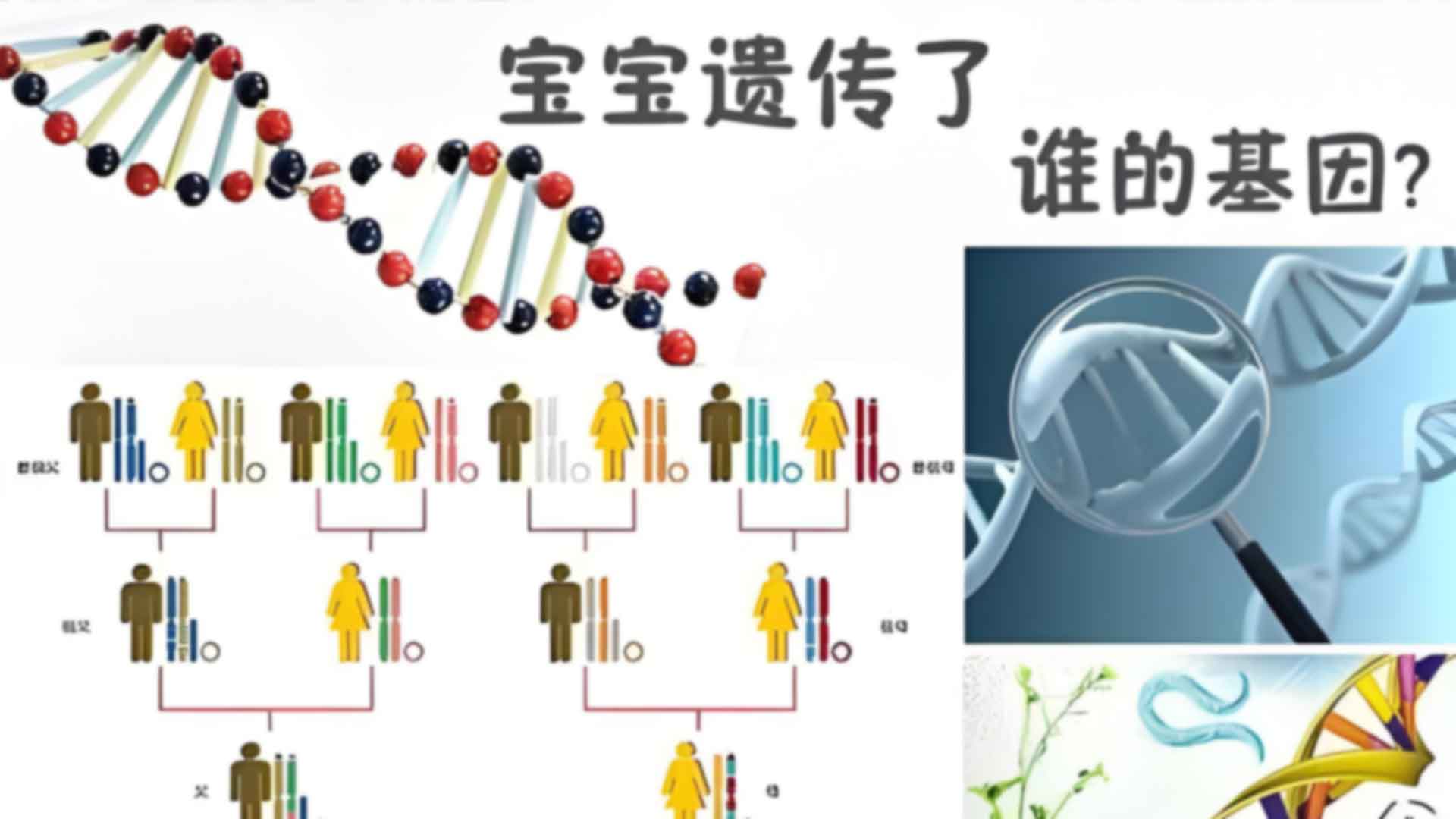 杭州市做司法亲子鉴定的手续和流程